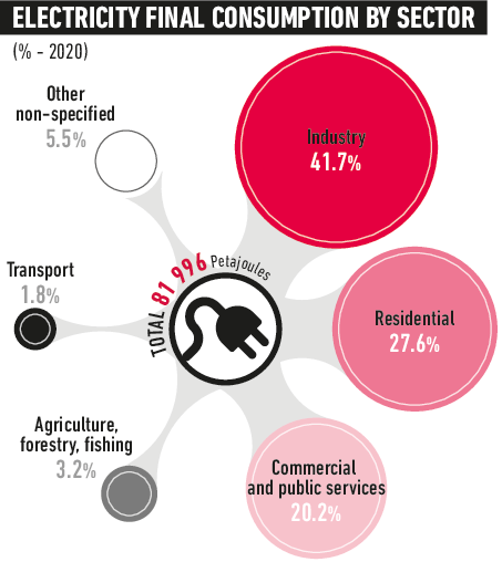 Electricity Consumption Mix Details